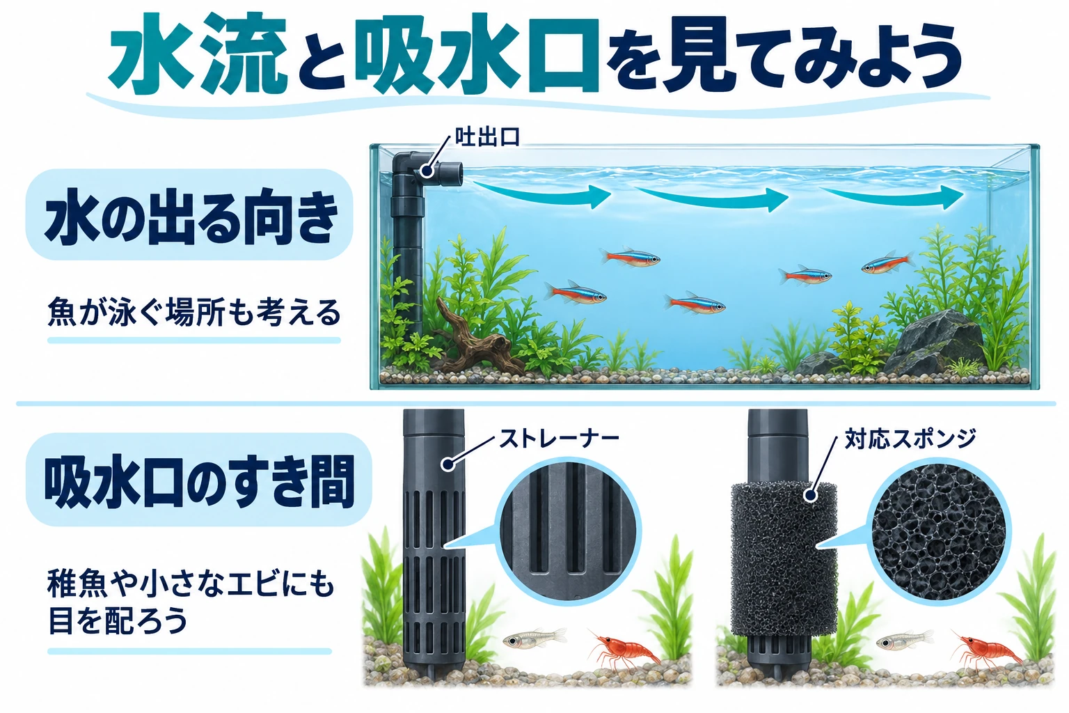 水流と吸水口を確認する模式図。吐出口の向きと魚が泳ぐ位置を見比べ、ストレーナーのすき間や対応スポンジも確認します。スポンジ付きでも稚魚や小さなエビの吸い込みには目を配ります。