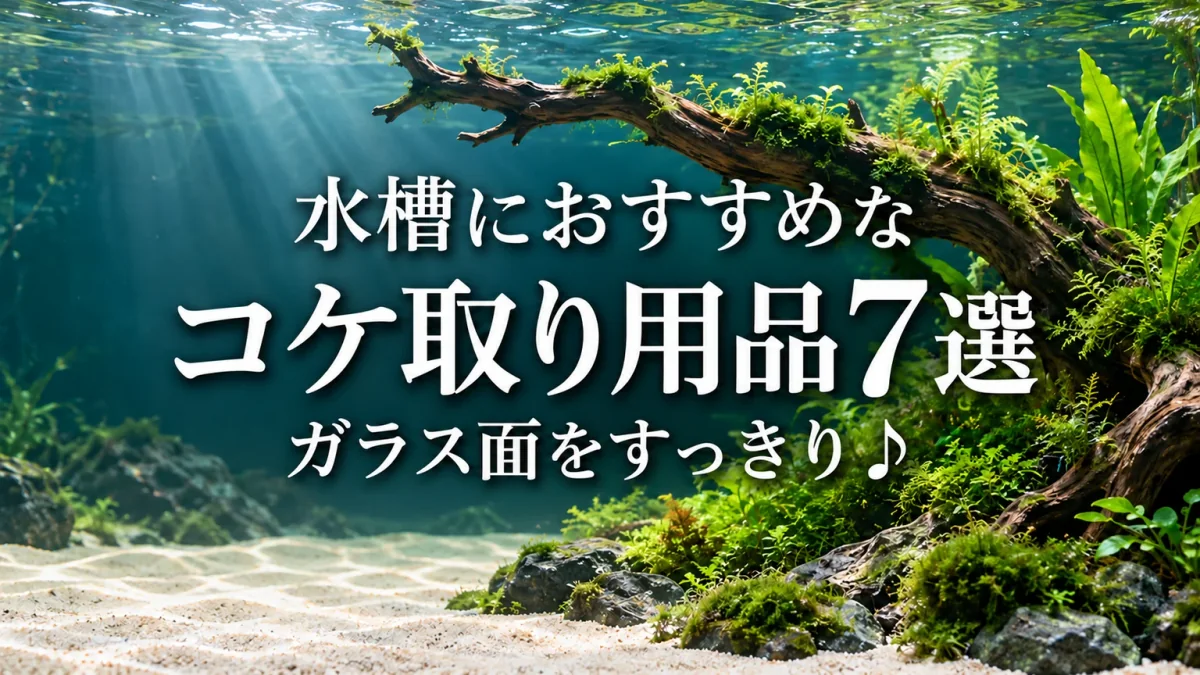 流木と緑の水草を配した生成水景に、水槽におすすめなコケ取り用品7選と書いたアイキャッチ。