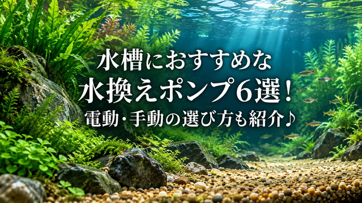 砂利と岩、水草を配した生成水景に、水槽におすすめな水換えポンプ6選と書いたアイキャッチ。