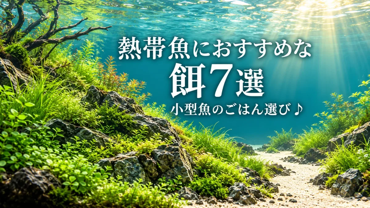 緑の水草と岩、白砂の道を配した生成水景に、熱帯魚におすすめな餌7選と書いたアイキャッチ。
