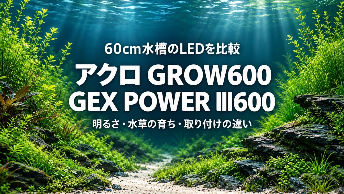 水草と石を配した生成水景を背景にした、アクロGROW600とGEX POWER III600の比較アイキャッチ。筆者の水槽や生育結果の実写ではありません。